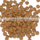 Dry Pet Food Dogs Food thumbnail-1