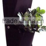 2 Puches Hanging Wall Fabric Pot Container Vertical Garden thumbnail-4