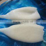 Cheap Frozen Squid Tubes Seafood Aquatic Products thumbnail-1