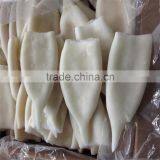 Frozen IQF Pacific Squid Tube U7 thumbnail-1