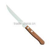 Steak Knife(261111)