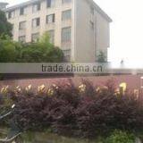 Zhejiang Chenzhou Technology Co., Ltd. company overview - view 1 thumbnail