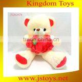 Hot Sale Stuffed Animal Raccoon Plush Toy Made in China thumbnail-1