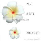 Hawaiian Foam Flower Frangipani Plumeria (loose Piece) thumbnail-1