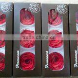 Everlasting Rose A Grade 6 to 7 cm Preserved Rose From Yunnan thumbnail-2