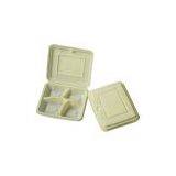 Disposable Food Containers thumbnail-1