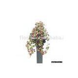 Mini Euonymus Flower thumbnail-1