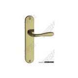 brass door handle on plate