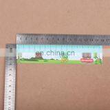 Factory Manufacture High Quality Promotional Gift pp Plastic Ruler thumbnail-6