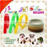 Припояса для щенков. Тяги-идентификаторы для щенков/котят