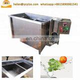 New Commercial Stainless Steel Green Vegetable Washing Machine for Sale thumbnail-6