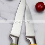 Popular OEM Kitchen Knife Set thumbnail-4