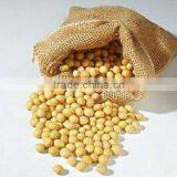 Organic Soybean thumbnail-1