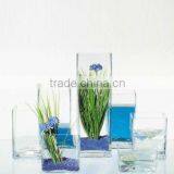 Cheaper Clear Square Glass Vase