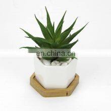 Decorative White Hexagonal Ceramic Succulent Cactus Flower Pot With Wooden Tray Ceramic Flower Planter thumbnail-4