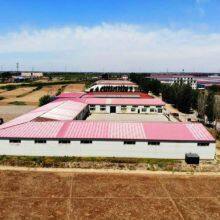 Hebei Dayu Seeds Co.,Ltd. company overview - view 2 thumbnail
