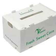 Polypropylene Storage Box thumbnail-2