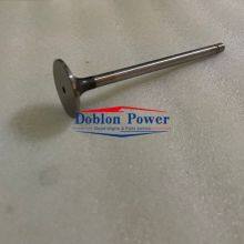 China Supplier IVECO FPT Engine Part Inlet Valve 4895052 for Iveco FPT and Cummins ISB/QSB 6.7, ISB 4.5, ISB thumbnail-2