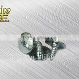 Big Head Screw