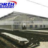 Agriculture Plastic Film for Greenhouse/greenhouse Film/Agriculture Greenhouse Film thumbnail-1