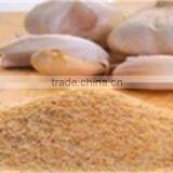 Powder Shape and 100% Pure Dried Garlic Powder thumbnail-1