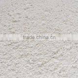 Grade A Garlic Granules Approved With FDA/QS/ISO/HACCP/KOSHER thumbnail-4