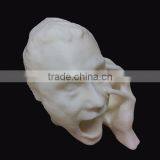 SLA Plastic Rapid 3D Prototyping Model Maker Directly