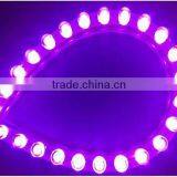 12v Waterproof Flexible Led Pvc Strip, All Colors Are Available