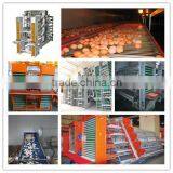 full automatic chicken egg collecting equipment