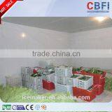 Low Temperature Cold Room Freezer for Fast Cooling thumbnail-6