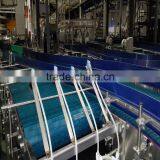 Water Industry Straight Running Plastic Chain Conveyor Line thumbnail-4