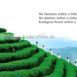 Health Chinese Aluminum Foil Bag Green Tea thumbnail-5