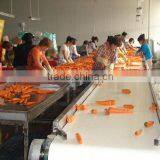 Hot Sell IQF Frozen Carrot Price Frozen Diced Carrot thumbnail-6