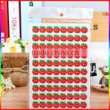 Apple Design Paper Stickers for Kids thumbnail-1