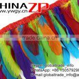 Top Supplier ZPDECOR Bulk Sale Best Quality Colorful Design Trim Goose Trimming Feathers thumbnail-5
