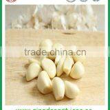 Fresh White Garlic From Chinese Garlic Hometown Jinxiang thumbnail-6