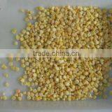 2014 New Crop I.Q.F. Frozen Sweet Corn Kernel Class A thumbnail-1