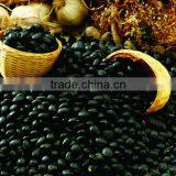New Product Black Soybean Extract Powder / Black Soybean P.E. thumbnail-1