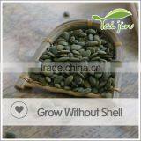 EU Standard GWS Pumpkin Seeds for Sale thumbnail-2