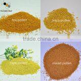 Wholesale Bee Bread Bulk Bee Pollen Powder With Best Price thumbnail-1