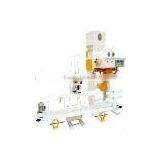 DCS-25F Powder Packing Machine thumbnail-1