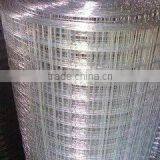 2016 Hot Sale /Strong Quality Welded Wire Mesh(Galvanized/PVC Coated)/ From Anping Factory