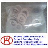 Duplex Steel S32750 Flat Washers thumbnail-1