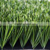 Artificial Grass thumbnail-1
