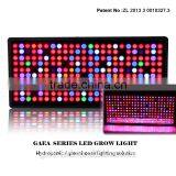 High Power Hydroponics Systems Led Grow Light From Shenzhen Factory thumbnail-1