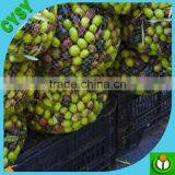 Three Years Life Sun Shade Enclosure Net Animal Catching Nets thumbnail-5