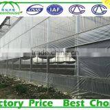 Agriculture Economic and Efficient UV-anti Film Poly Tunnel Greenhouse thumbnail-2