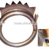 Calf Nose Ring thumbnail-1