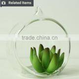 Hanging Glass Succulents Terrarium Mini Artificial Plants for Home Decoration thumbnail-4