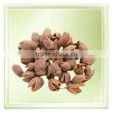 Bakuli Pod thumbnail-1